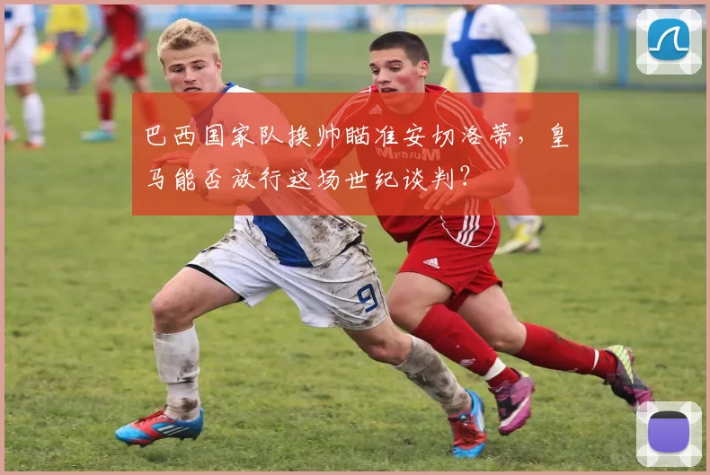 巴西国家队换帅瞄准安切洛蒂，皇马能否放行这场世纪谈判？